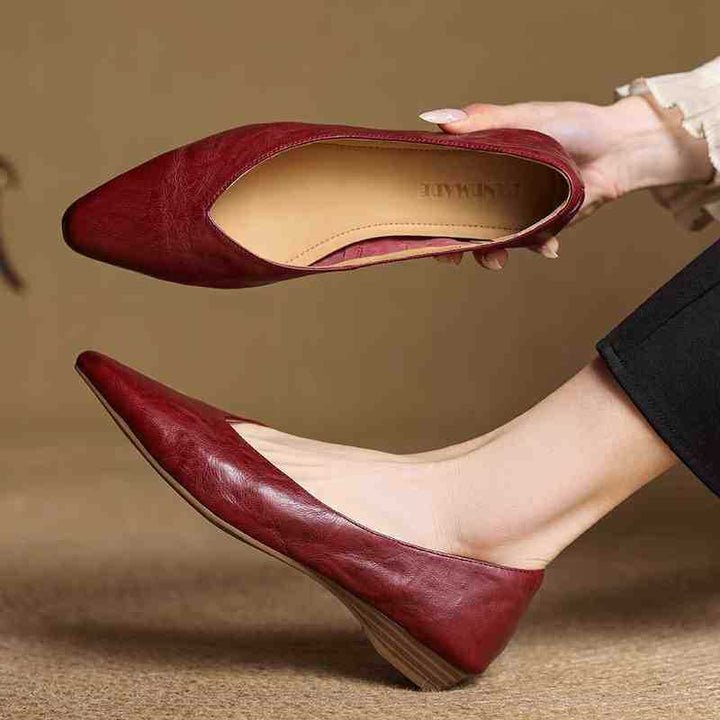 Reve | Pointed Toe Ballet Flats