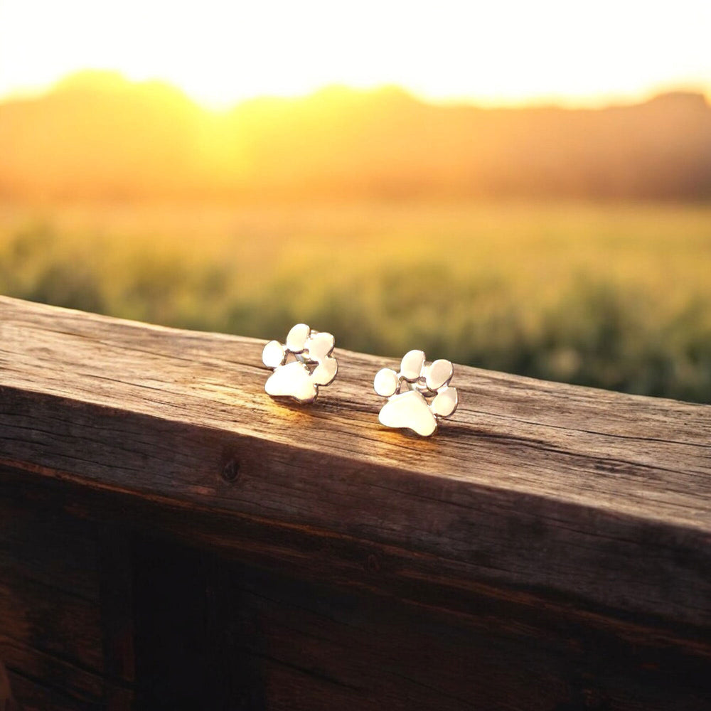 Stainless steel paw print stud earrings, silver-tone finish on wooden surface